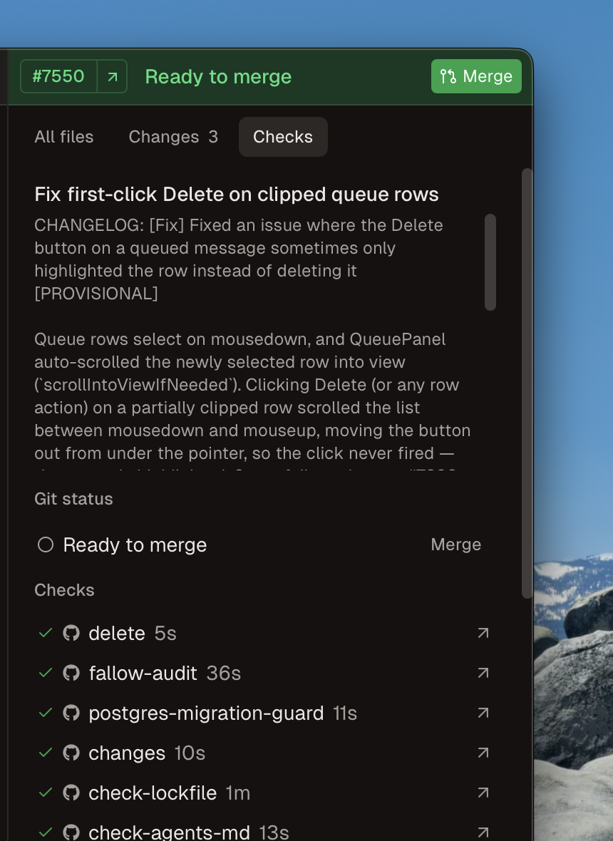The Checks tab showing passing checks on a pull request