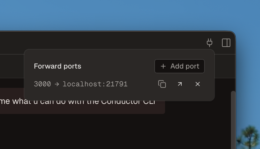 The Forward ports popover mapping port 3000 to a localhost URL
