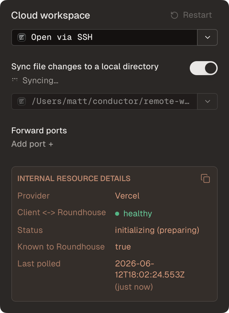 The Cloud workspace panel showing the Sync files toggle, local sync path, port forwarding, and restart control