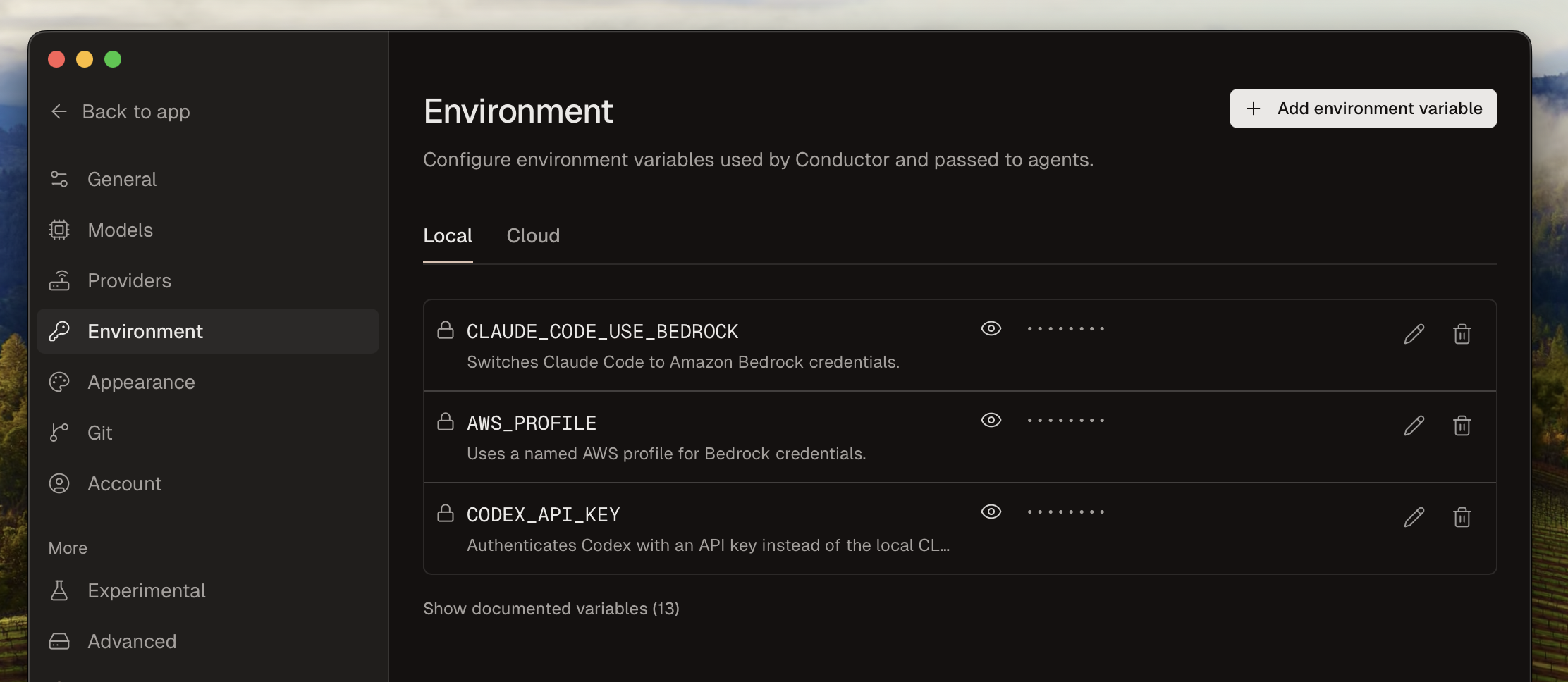 Conductor Environment settings page showing local environment variables