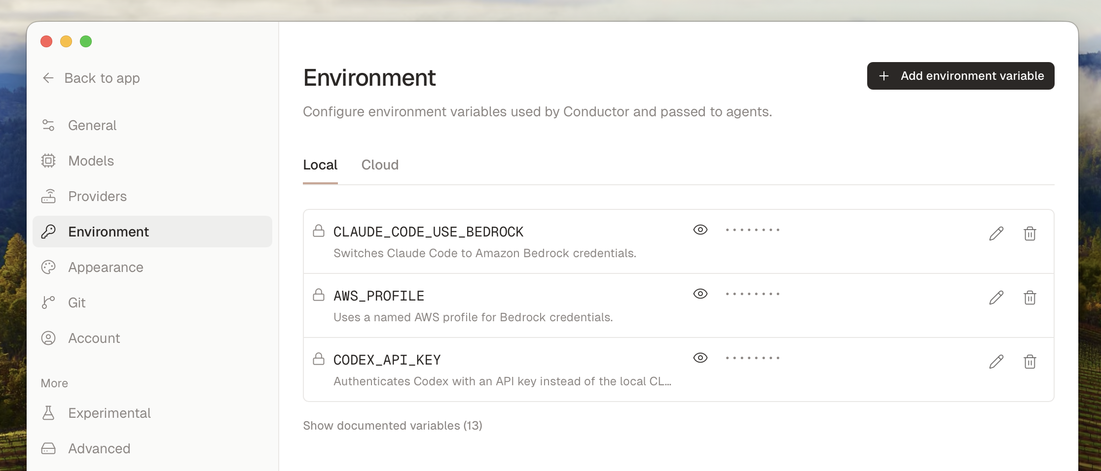 Conductor Environment settings page showing local environment variables
